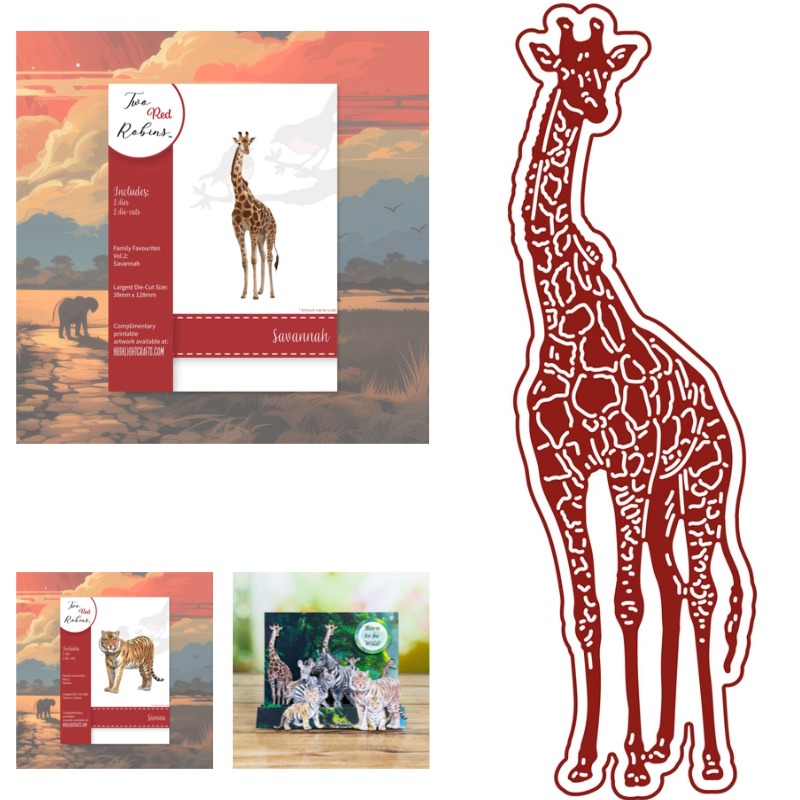 Candle Making Books - La Coda della Giraffa È Arricciata,
