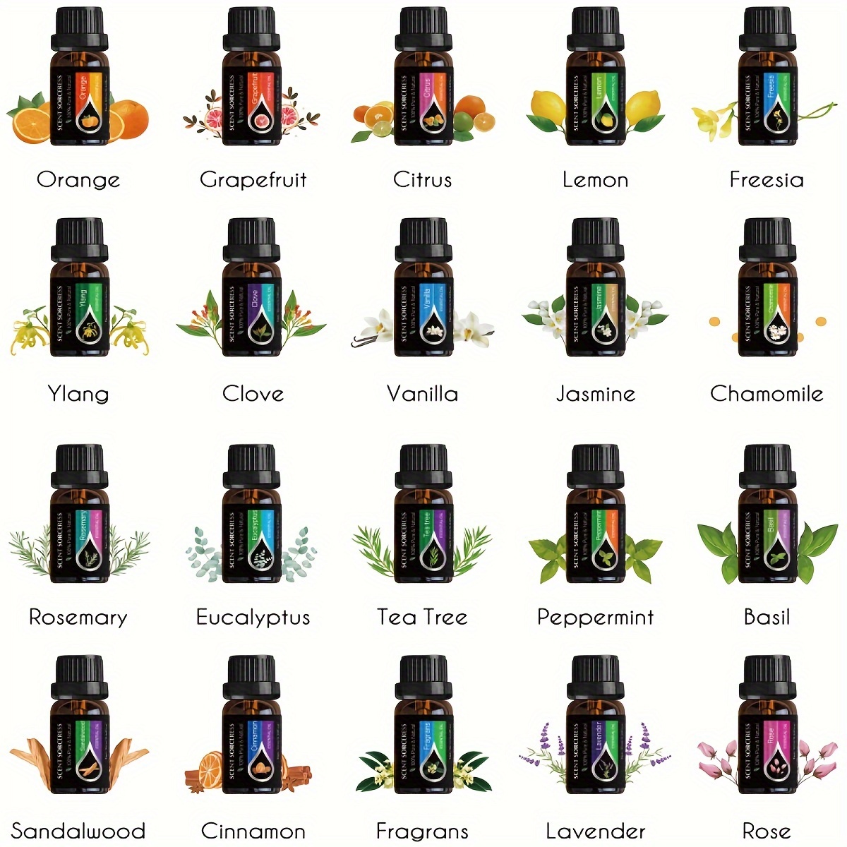 Set di 20 Oli Essenziali Class - Candle Making Scents recensione e prezzo